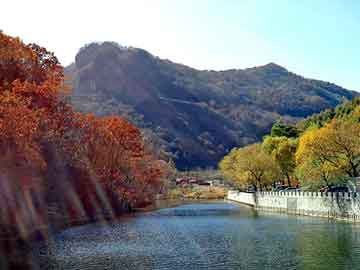 澳彩资料免费长期公开，岑溪软枝油茶苗